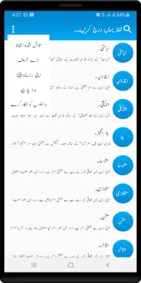 Urdu Dictionary android App screenshot 18