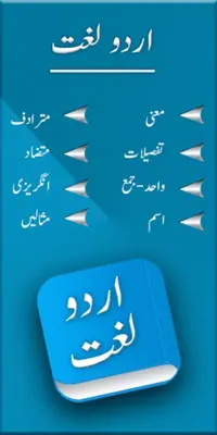 Urdu Dictionary android App screenshot 22